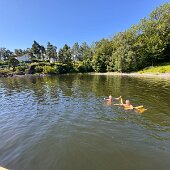 IMG_9660
