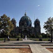 IMG_6894