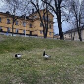 IMG_7735
