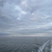 IMG_7613
