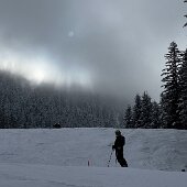 IMG_7633